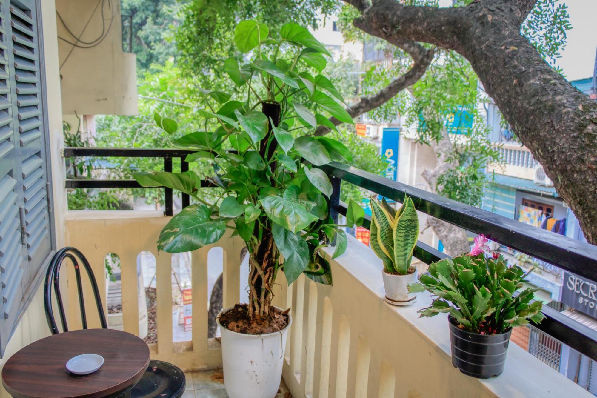 Hanoi Family Homestay 외부 사진