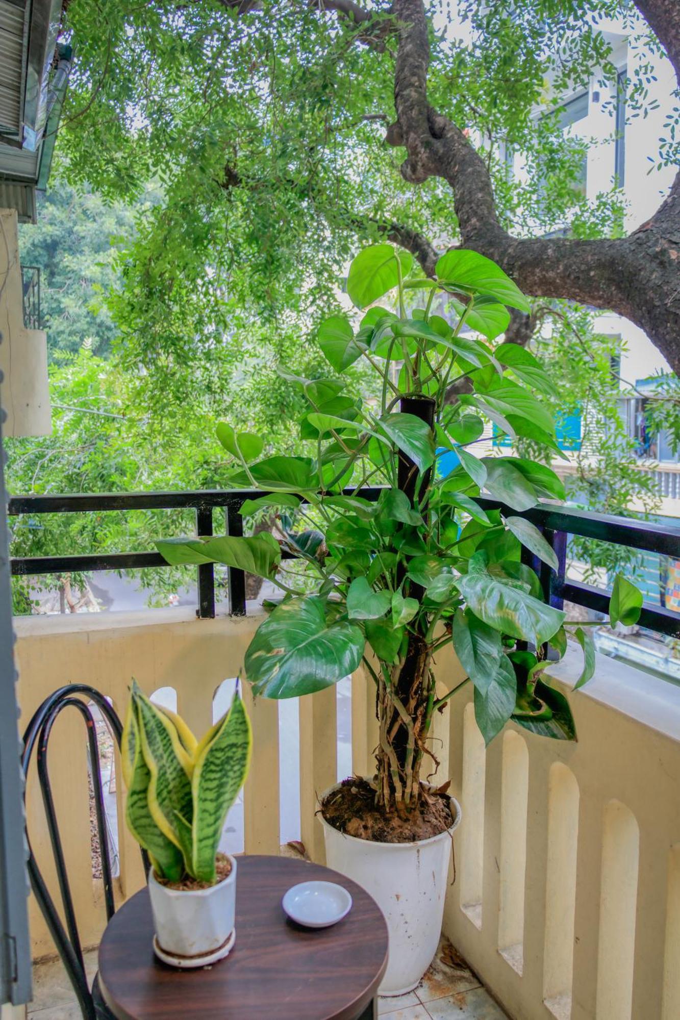 Hanoi Family Homestay 외부 사진